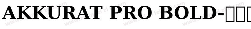 AKKURAT PRO BOLD字体转换